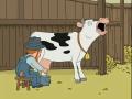 Jack the Cow's picture