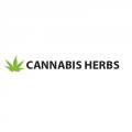 Cannabherbs's picture