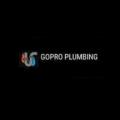 goproplumbing's picture