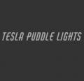 teslapuddlelights's picture