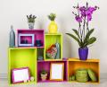 homedecoration's picture