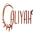 Aliyah Co.'s picture