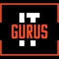 itgurus's picture