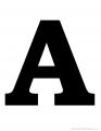 alvisanderson's picture