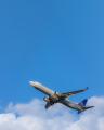 americanairlinespetpolicy's picture