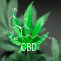 Lordofcbd's picture Lordofcbd's picture